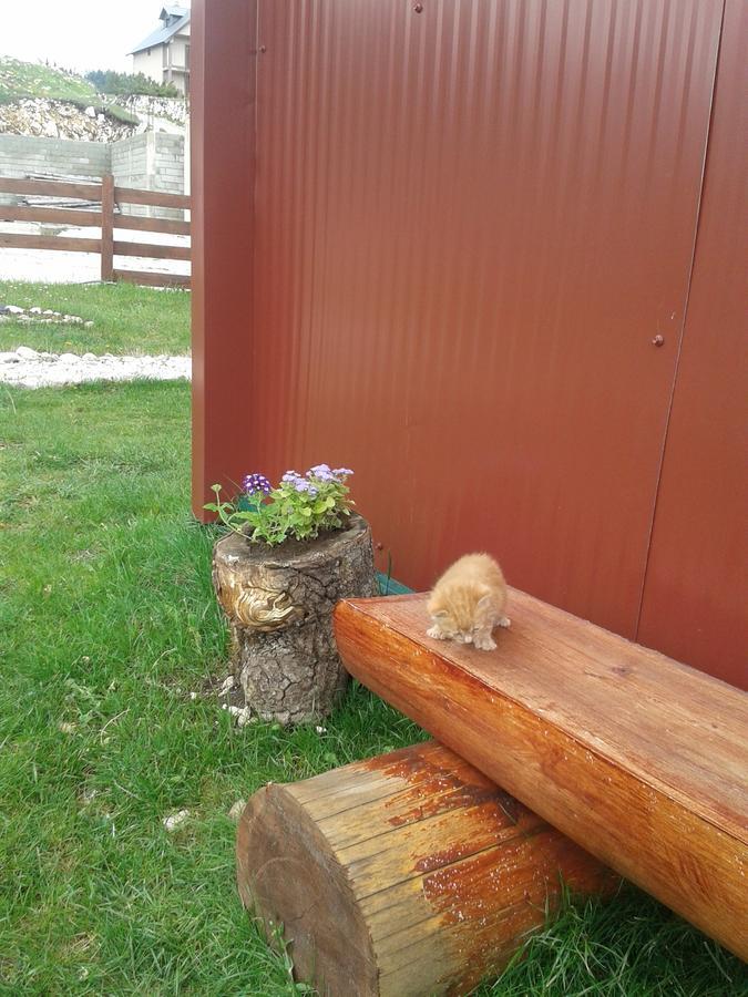 Hostal Boskovica Brvnare Žabljak Exterior foto